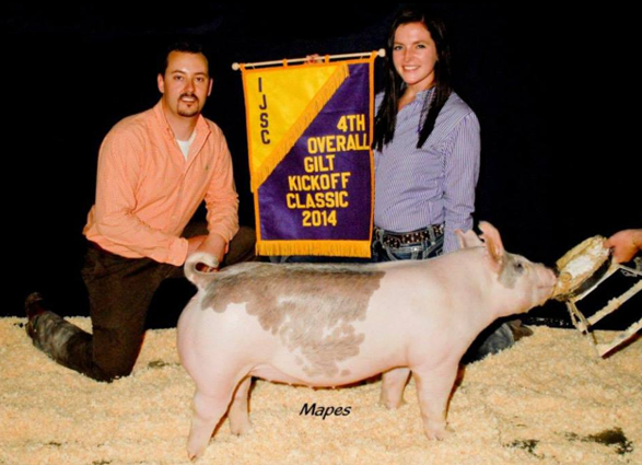 S&K Showpigs Champion